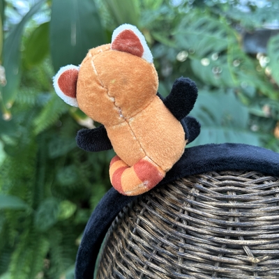 カチューシャ レッサーパンダ | 神戸どうぶつ王国NS